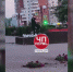В Перми от вандала пострадала клумба - ГТРК Пермь