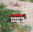Неизвестные расстреляли девушку в Перми - V-Kurse.Ru