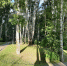 article18733.jpg - 59i.Ru