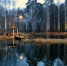 Пермь стала самым зелёным городом-миллионником в России - VikiPerm.Com