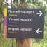 Специалисты регионального ЦОЗМП приняли участие в открытии терренкура и экотропы в Андроновском лесу г. Перми - Министерство здравоохранения