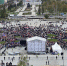 митинг3 - Новый Компаньон