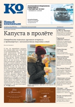 kapusta
