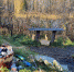 WhatsApp Image 2022-10-04 at 19.27.15 - Природный парк Пермский