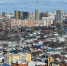 DSC_3531 — копия - Новый Компаньон