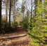 article18955.jpg - 59i.Ru