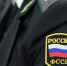 Приостановка исполнительных производств - ЛДПР