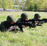 Организовать начальную военную подготовку детей обязал суд прикамскую школу - Газета Звезда