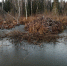 WhatsApp Image 2022-10-27 at 13.28.44 - Природный парк Пермский