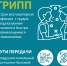 Грипп: профилактика, симптомы, лечение - Министерство здравоохранения