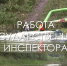 Государственный инспектор в области охраны окружающей среды - Природный парк Пермский
