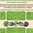 ИНФОРМИРУЕМ АГРАРИЕВ: КАК ПРАВИЛЬНО БОРОТЬСЯ С ГРЫЗУНАМИ НА ПОЛЯХ СЕЛЬСКОХОЗЯЙСТВЕННОГО НАЗНАЧЕНИЯ - Министерство сельского хозяйства