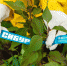 article19220.jpg - 59i.Ru