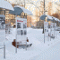 article19254.jpg - 59i.Ru