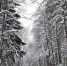 article19256.jpg - 59i.Ru