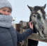 Состоялась экскурсия в СПК (колхоз) «Богородский» - ПГСХА
