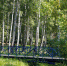 article19334.jpg - 59i.Ru
