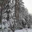 article19349.jpg - 59i.Ru