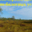 Всемирный день водно-болотных угодий - Природный парк Пермский