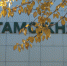 Пермская таможня возбудила в отношении контрабандистов 16 уголовных дел - Perm.Sm.News