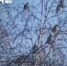 news-details - Вести-Пермь