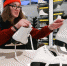 Пермяков приглашают бесплатно покататься на коньках до 10 марта - V-Kurse.Ru