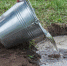 Почему не надо поливать кусты мыльной водой: вредные советы огородникам - Газета Звезда