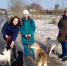 В работе муниципального приюта активно помогают волонтеры - Управление экологии Перми