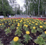 article19668.jpg - 59i.Ru