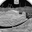 article19683.jpg - 59i.Ru