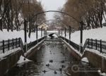 Плотина в Райском саду