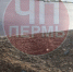 В Перми на берегу Камы обнаружили пять холмов с могильными плитами - Ветта