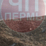 ЧП Пермь - Новый Компаньон