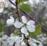 article19793.jpg - 59i.Ru