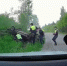 news-details - Вести-Пермь