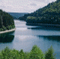 За год в Пермском крае утонули 16 детей - Solevar.Online