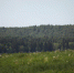 ​В Пермском крае зафиксировано землетрясение - Business Class