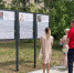 Звёздный - Новый Компаньон