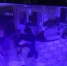 Появилось видео избиения дрессировщика в пермской гостинице - V-Kurse.Ru