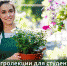 Онлайн-занятия о фермерстве Я в Агро - ПГСХА