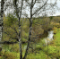 article20214.jpg - 59i.Ru