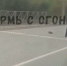 news-details - Вести-Пермь