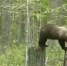 news-details - Вести-Пермь