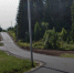 Этой осенью в Прикамье откроется лыжероллерная трасса - V-Kurse.Ru