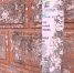news-details - Вести-Пермь