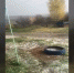 В Пермском крае выпал первый снег - Вести-Пермь