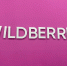​Маркетплейс Wildberries приобрел площадку в Пермском округе под логистический центр - Business Class