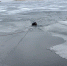 Спасатель-водолаз - Новый Компаньон