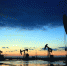 Модель ученых ПНИПУ поможет «оживить» простаивающие нефтяные скважины - ПГТУ
