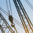 vertical-photo-of-a-crane-at-sunset - Новый Компаньон